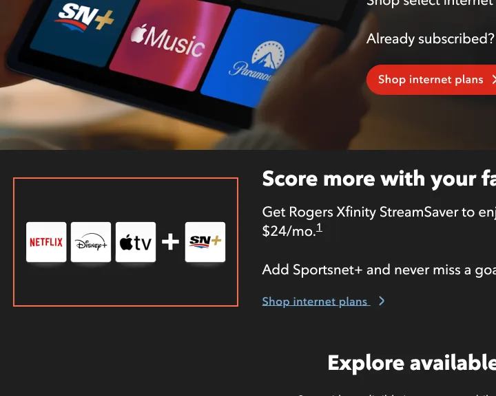 Rogers at desktop size, the frame on what this finding is about: The alt text on 28 images across 7 pages reads 'alt=NULL'.